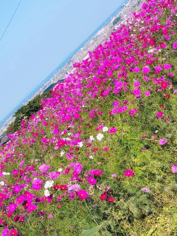 久しぶりだねん