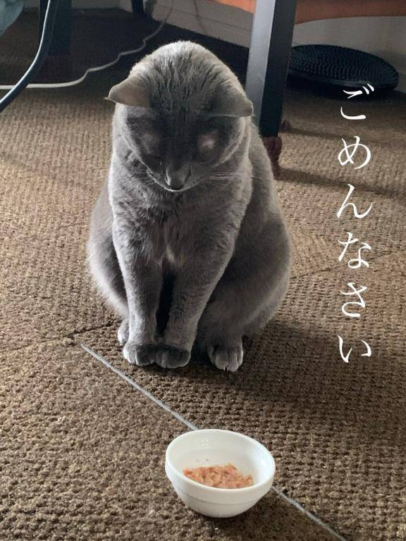 今日ご予約頂いていたお客様へ