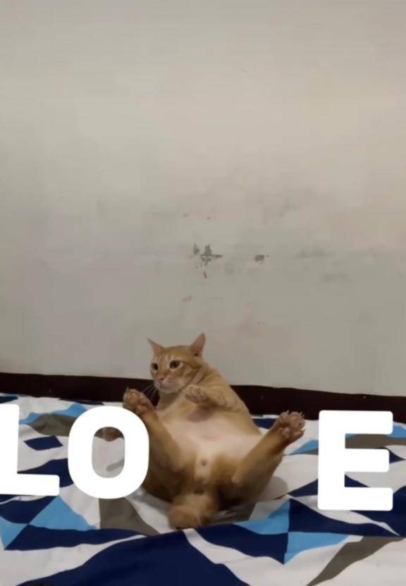 12/7　ありがとう💌