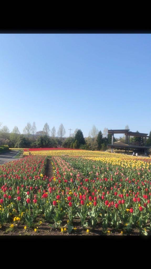 おやすみなさい(๑´︶`๑)☆.。