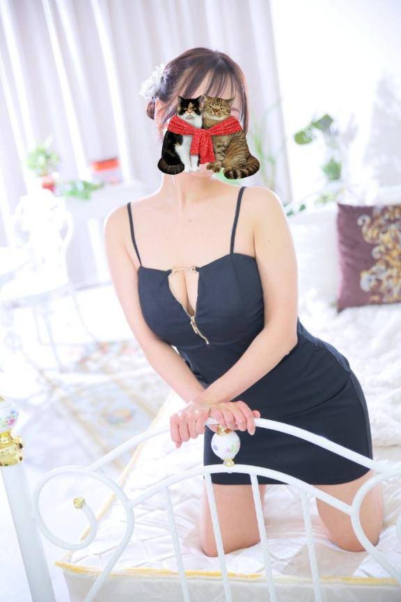 [お題]from:朝顔枯れたさん