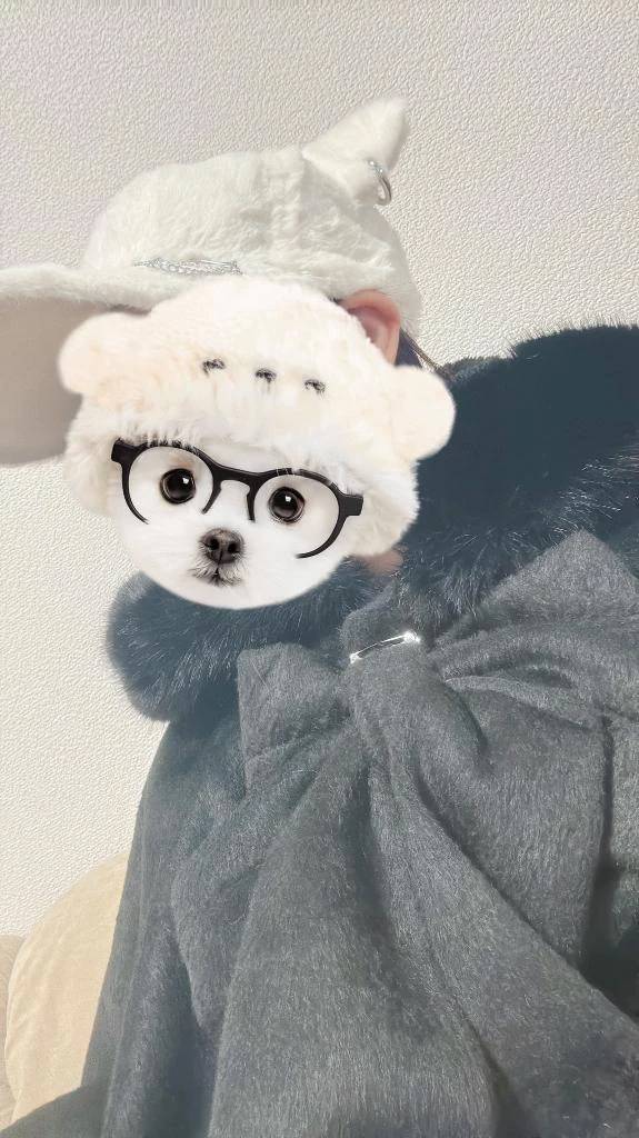 いいスタートを！