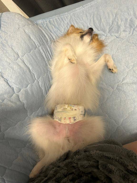 出勤してますん?