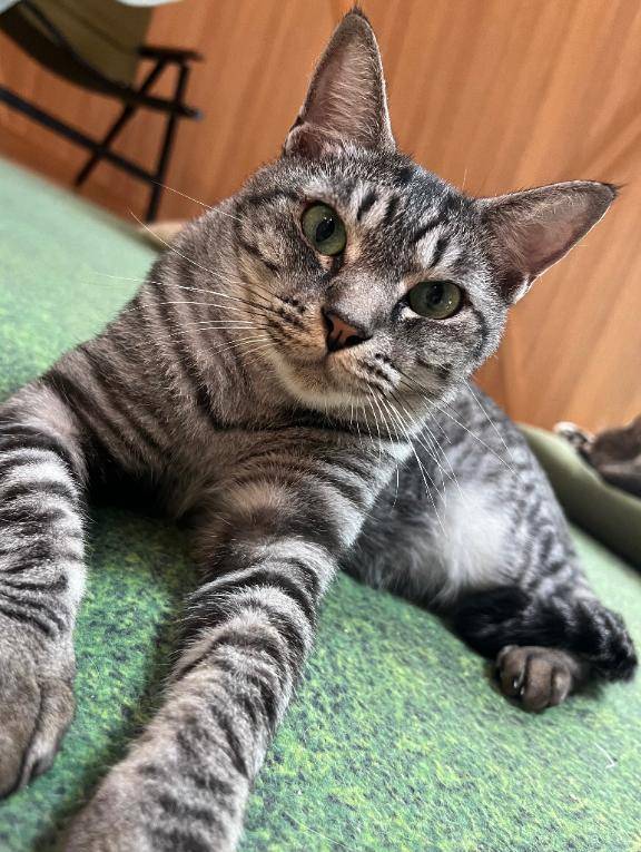 ゆりな（和楽）