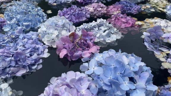 ?おはようございます???