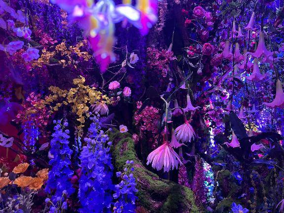 ?おはようございます???