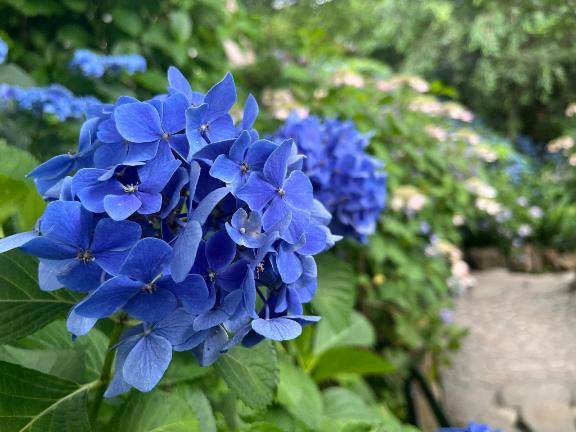 ?おはようございます???