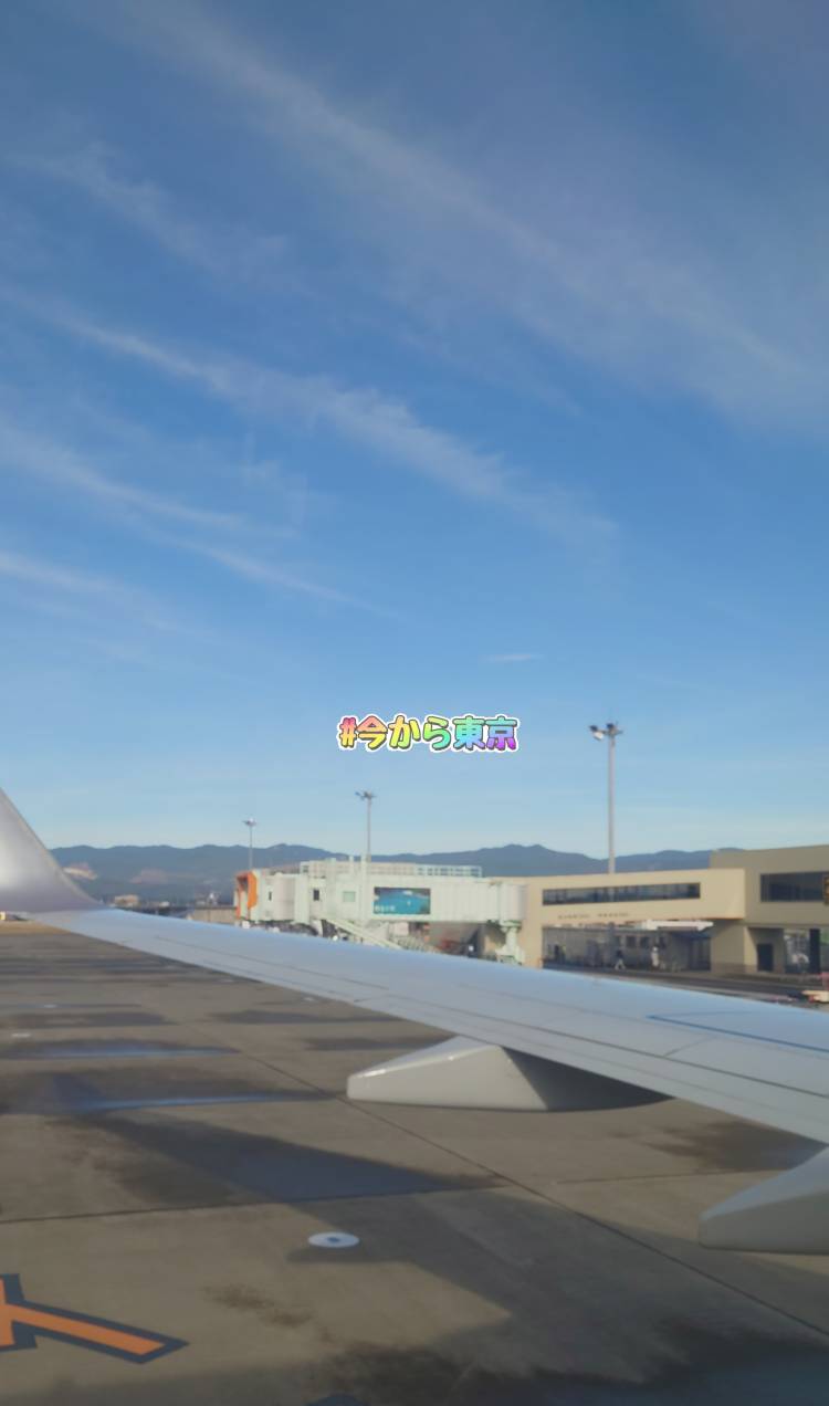 空の旅