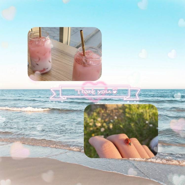 お礼日記💌♥️