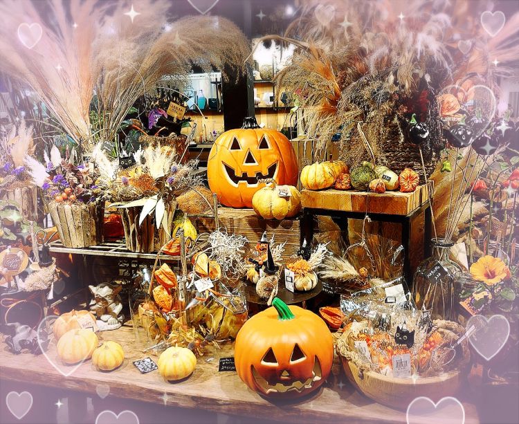 ℋ𝒶𝓅𝓅𝓎𝕙𝕒𝕝𝕝𝕠𝕨𝕖𝕖𝕟🎃