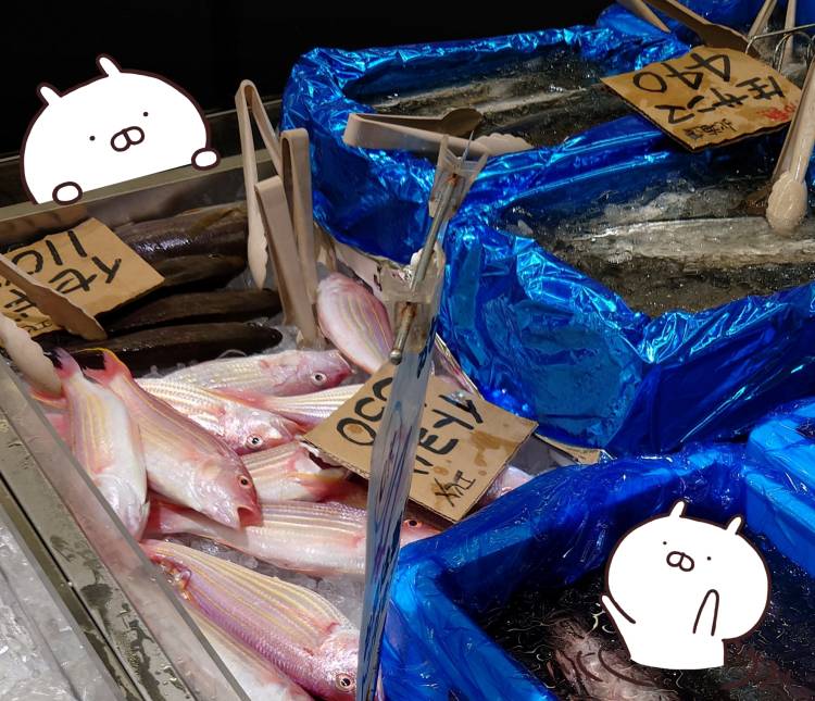 高知ってえいでねー