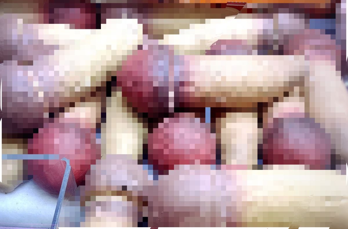 こ、こ、コレは／／／