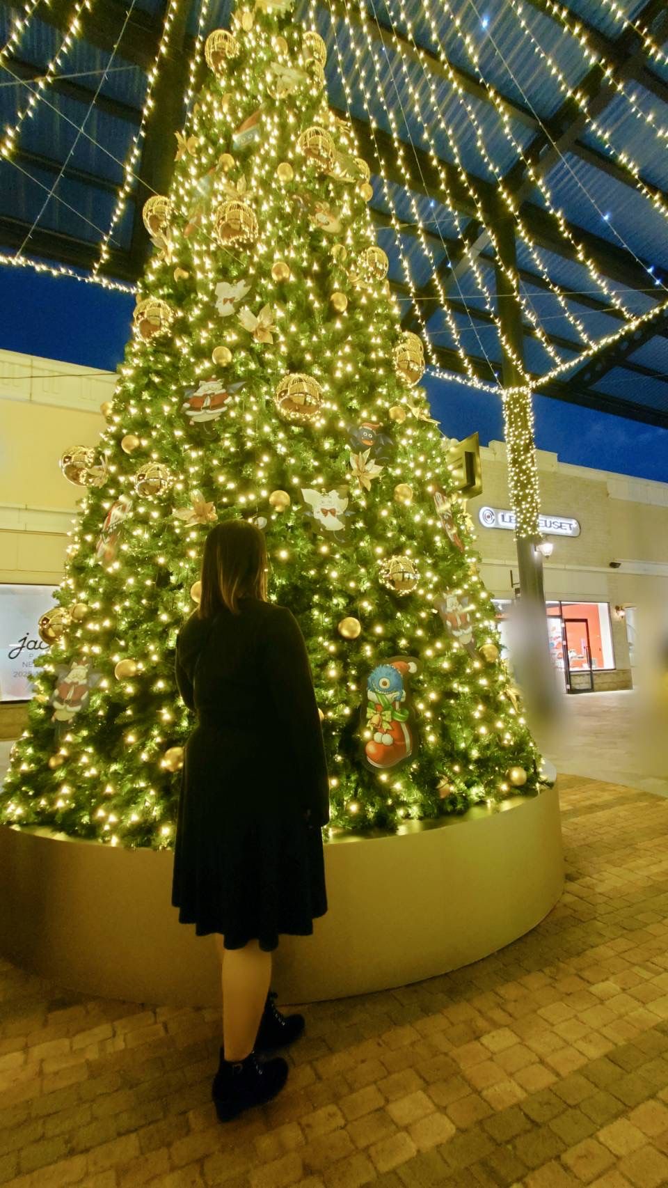 めちゃ綺麗🥺❤️🫧