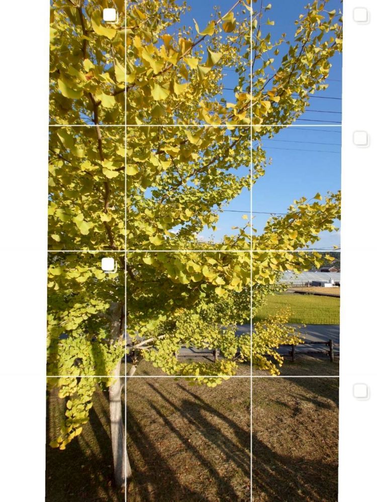 今がいいからきてね／／／