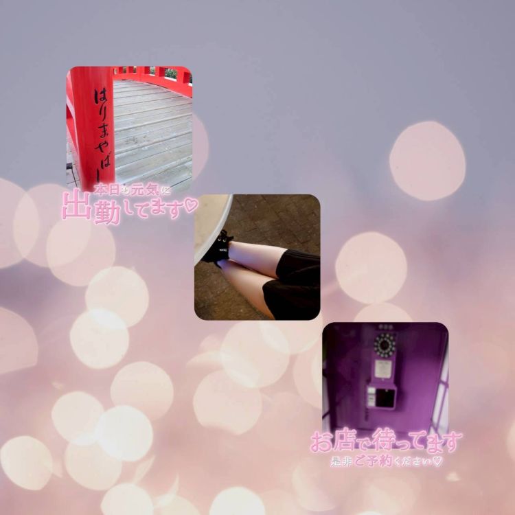 ここあの写メ日記🈹り／／／注目‼️安い‼️