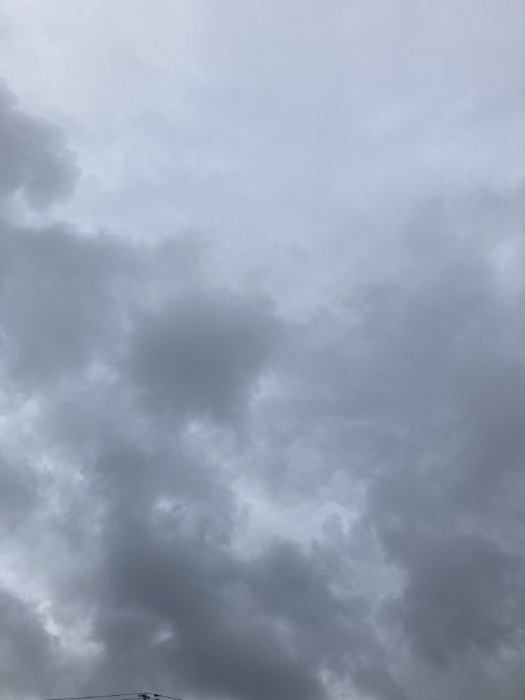 今日は／／／／
