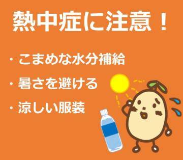 本日も暑さにお気をつけて