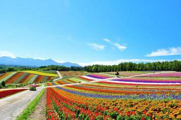 おはようございマイアクア 福井県の不思議な建物