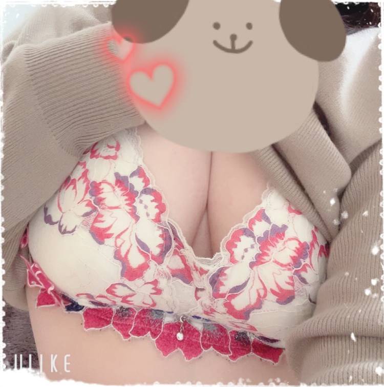 おはようございます(◍´◡`◍)