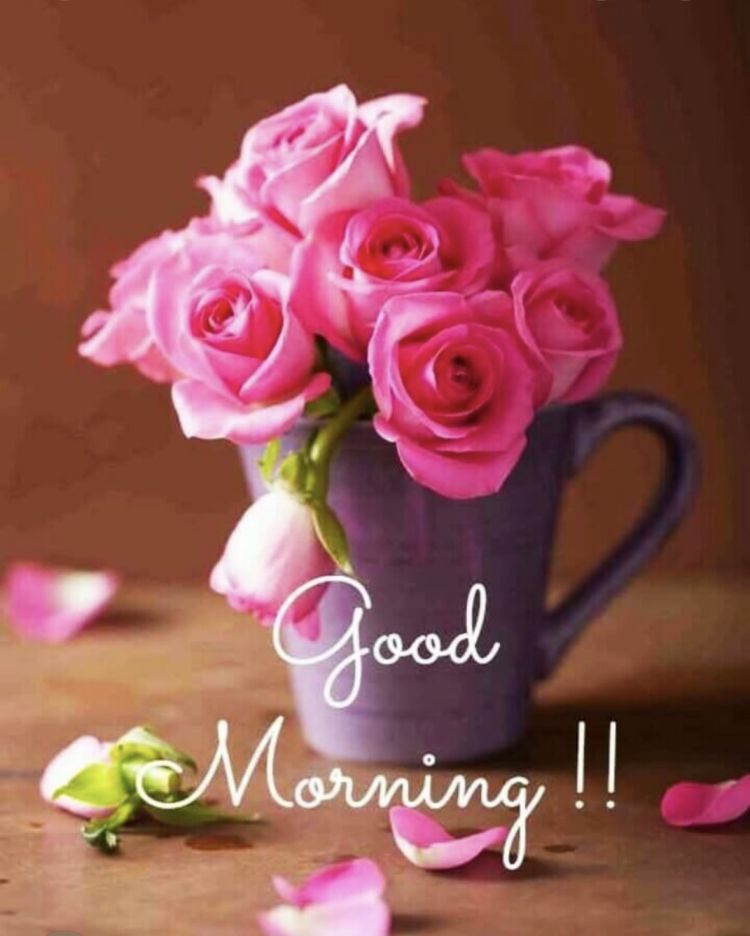 ひびき【純粋無垢なS級美女】