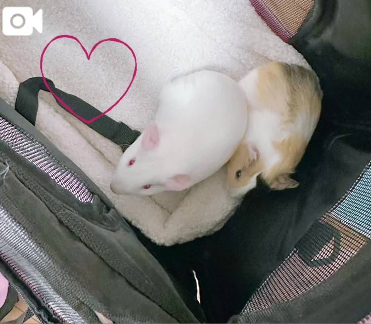ひさしぶりー︎︎💕︎︎