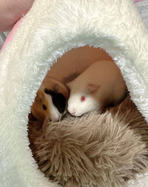 おはようございますっ♡