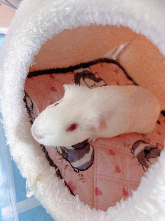 こんにちは!