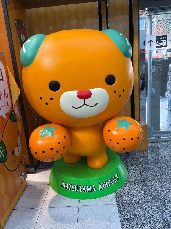 到着🍊