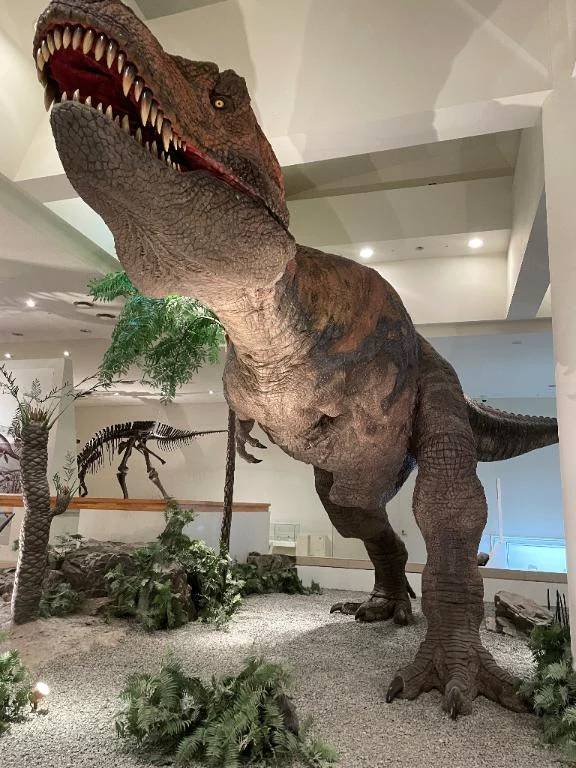 ごめんなさい🙏