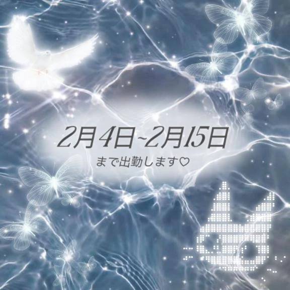 2/4~2/15まで❕