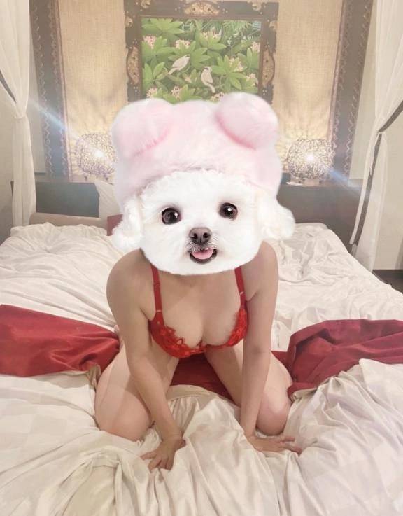 ちゃんと任せられてたね😛