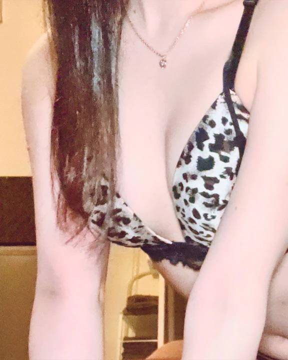 出勤🐱