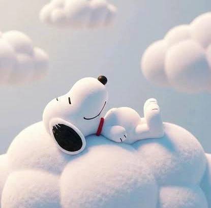 ごめんなさい🥺💦