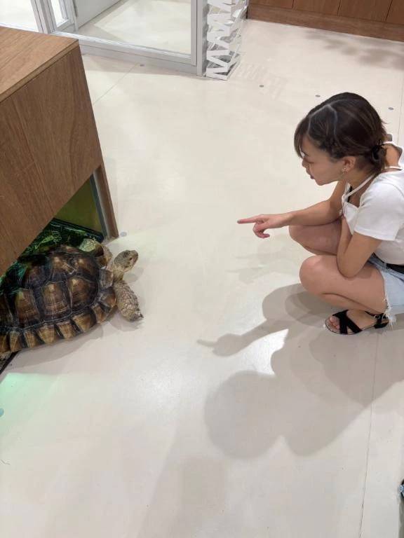 今日はむっちゃ早めの