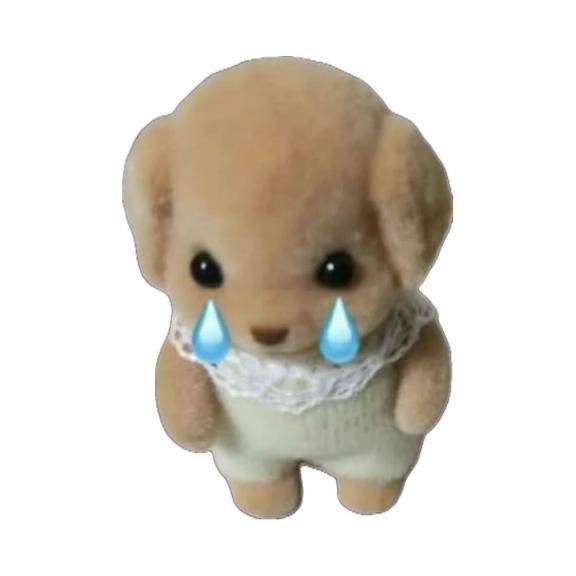 ごめんなさい🥺