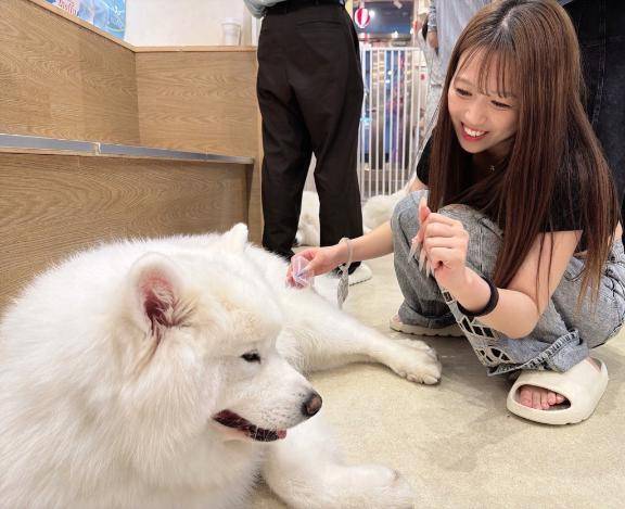 癒しのひととき🐶
