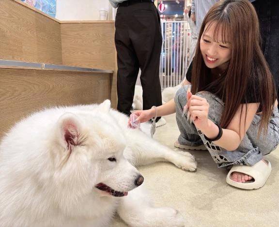 癒しのひととき🐶