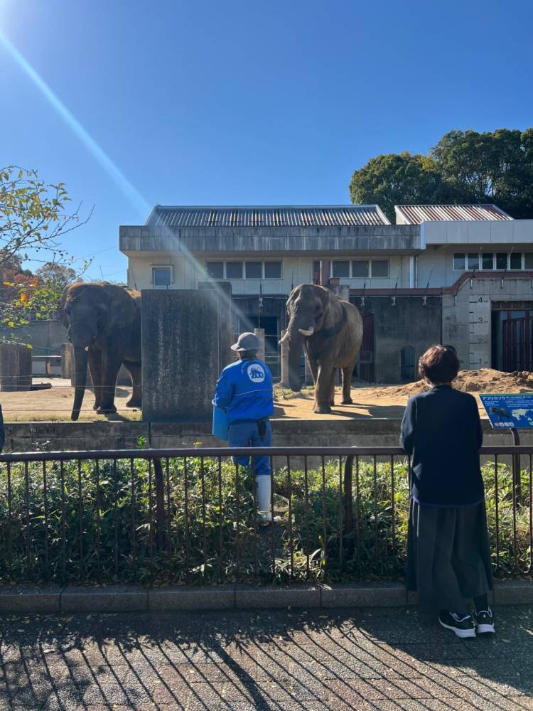 ⭐️とべ動物園🦁