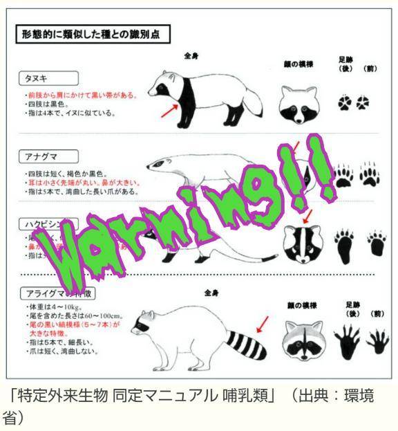 あっれは〜何だ何だ何だ…