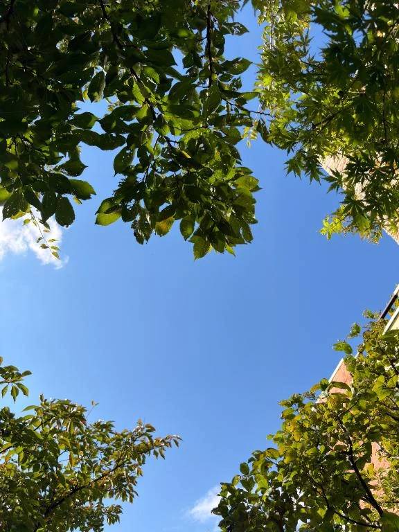 りこ（ごほうびSPA 仙台店）