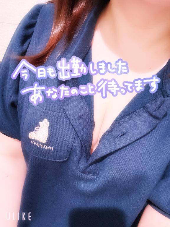 ☀️フェス