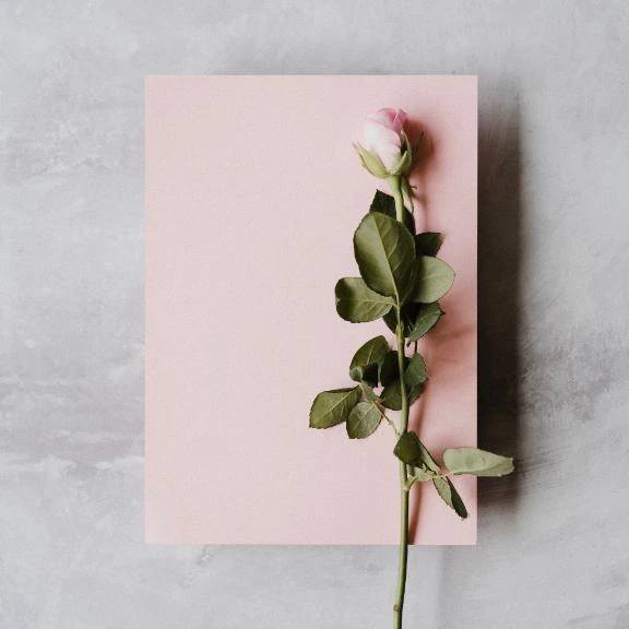 💜自己紹介💜