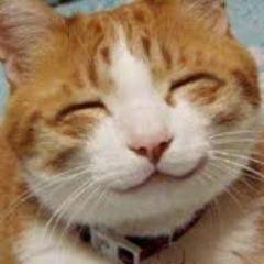 ありがとう