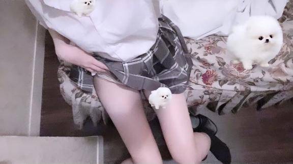 しゅきん