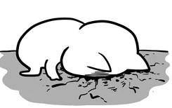 ガーーー‼️🫠