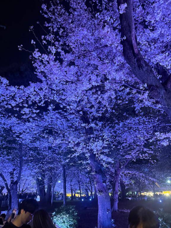 [お題]from:宴会部長さん