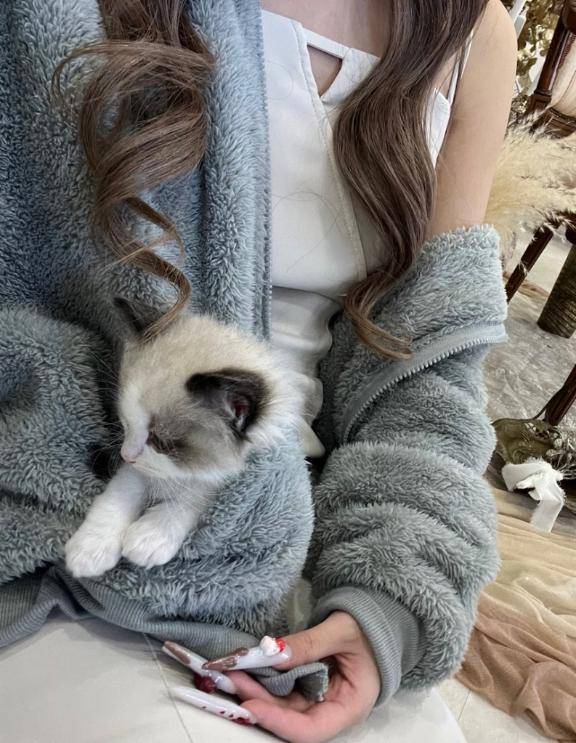 にゃんにゃん💛
