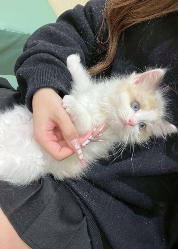 最終章