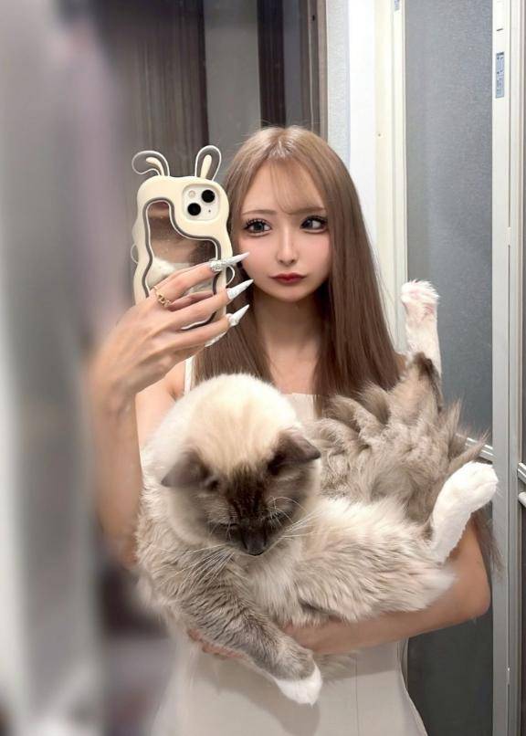 密会🎀