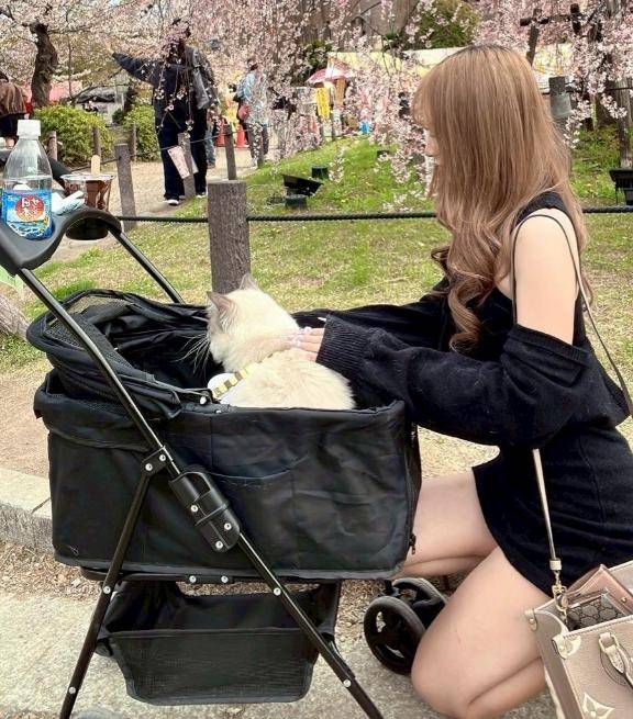 いるいるいるー💦